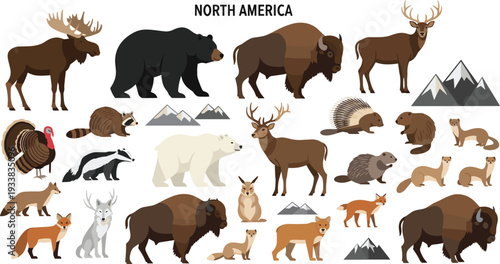 North America wildlife animals vector set featuring bison bear moose deer fox wolf raccoon porcupine and native mountain fauna illustration