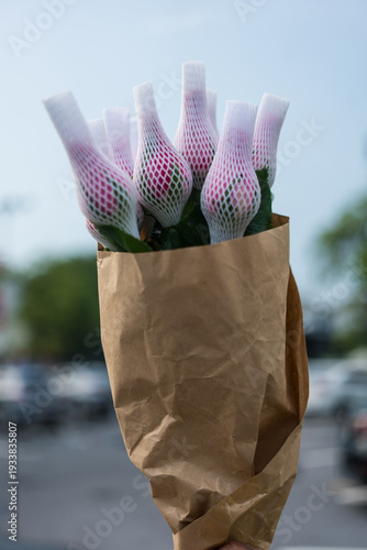 Wallpaper Mural Beautiful bouquet pink rose in foam net cover carefully wrapped in brown paper Torontodigital.ca