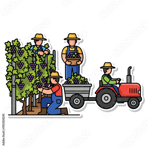 Farmers harvesting grapes in a vineyard with a tractor and trailer, viewed from the side.