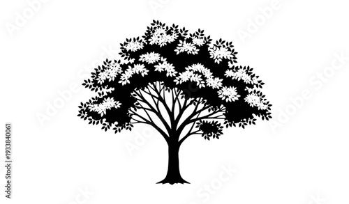 Realistic black tree silhouette with spreading branches vector illustration isolated on transparent background