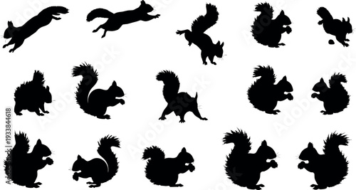 Collection of squirrel silhouettes in various poses