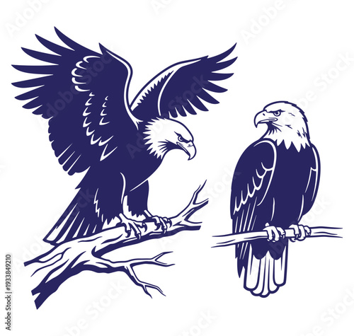 Two illustrated bald eagles perched on branches with open wings and proud posture