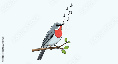 Beautiful gray songbird with a bright red chest perched on a tree branch singing melodic notes into the clear blue sky.