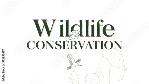 Wildlife conservation efforts with elephant and bird in natural habitat
