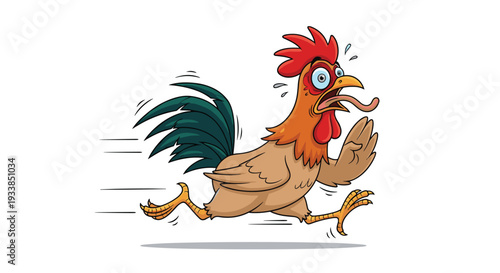 Funny and terrified rooster with its tongue hanging out and wide eyes runs at high speed across a plain white background in panic.