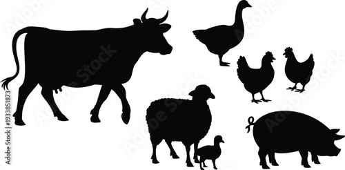 Farm Animal Silhouette Set, Cow Pig Sheep Chicken Goose Livestock Black Flat Vector Illustration Collection