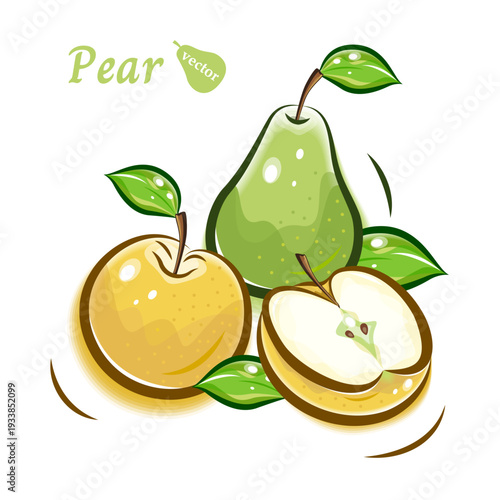 梨,洋梨のポップで可愛いイラスト｜新鮮な果物のベクター素材