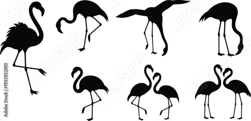 Flamingo Silhouette Collection Set, Tropical Wading ildlife Flat Vector IllustrationFlamingo Silhouette Colnding and Walking Exotic Wildlife Flat Vector Illustration