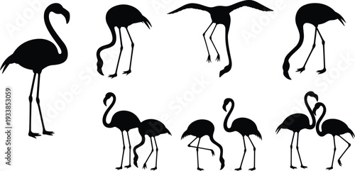 Flamingo Silhouettes Set Collection, Tropical Exotic Wading Bird Black Isolated Shapes, Standing Flying and Walking Wildlife Flat Vector Illustration
