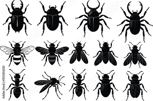 Insect silhouette illustration set, entomology artwork, beetle bee ant mosquito vector design, educational biology icon, black white nature symbol