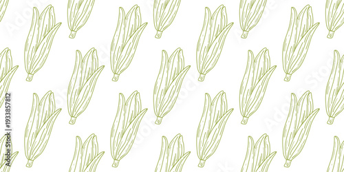 Green corn cobs seamless pattern in doodle sketch style. Hand drawn corn fruits on white background. Healthy organic food print, for product packaging, paper, store, vector graphics