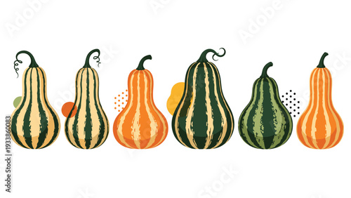 Set of decorative striped Delicata and other gourds in orange and green colors, with abstract shapes in the background.