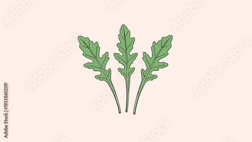 Simple line art illustration of three fresh arugula rocket leaves on a soft pastel background for healthy organic food design projects.