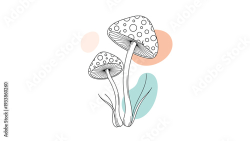 Minimalist line art illustration of two toadstool mushrooms with abstract color shapes, in a simple and modern aesthetic style.