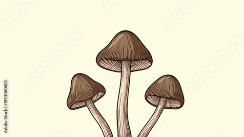 Group of three brown forest mushrooms with detailed gills and stems isolated on a light beige background for nature design.