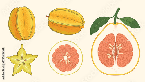 Set of hand-drawn tropical fruits, including whole and sliced carambola (star fruit) and a beautifully detailed halved pomelo.