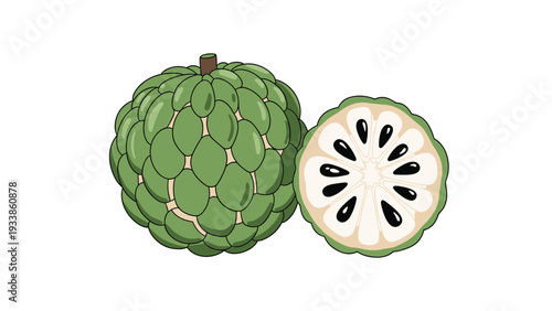 Detailed illustration of a whole green sugar-apple, also known as sweetsop, with a cross-section showing its white pulp and black seeds.