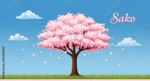 Sakura Tree Blooming Pink Flowers Spring Season