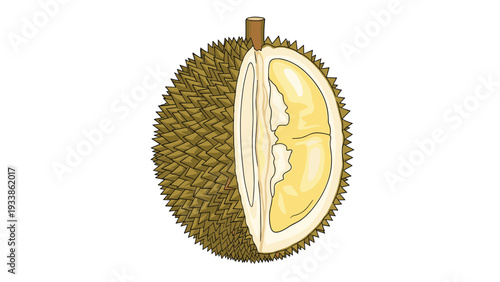 A whole durian fruit with a vertical slice removed, revealing the creamy yellow flesh and internal structure of the tropical fruit.