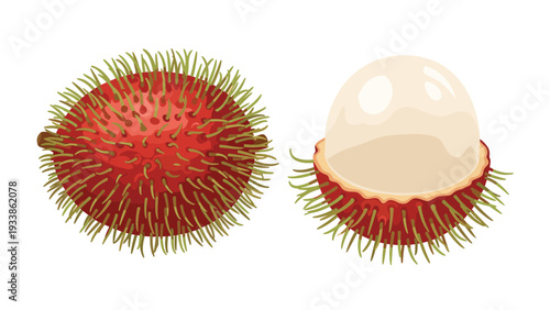Vector illustration of a whole rambutan fruit next to one that has been peeled, showing its spiky red skin and white flesh.