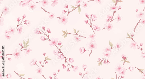 Sakura Cherry Blossom Pattern, Delicate Pink Flowers on White Background