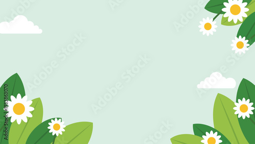 spring background with white daisy flowers and green leaves border illustration