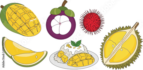 Exotic tropical fruits like mango, mangosteen, rambutan and durian with mango sticky rice dessert