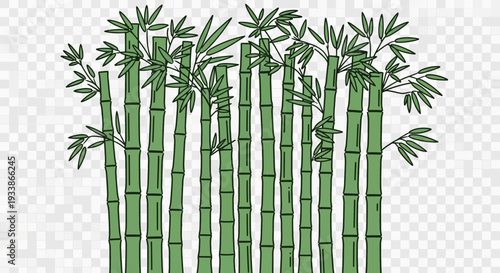 Green Bamboo Forest Illustration