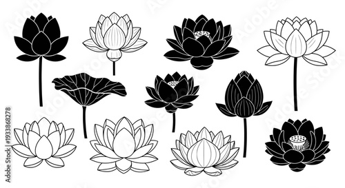 Collection of elegant lotus flowers and buds in various artistic styles, perfect for nature and spiritual designs