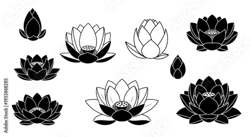 Collection of Black and White Lotus Flower Illustrations in Various Stages of Bloom and Bud, Vector Art