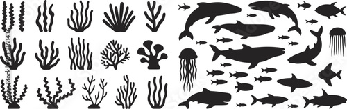 Collection of black marine life silhouettes including coral seaweed fish dolphin whale shark jellyfish octopus underwater ocean elements isolated vector set