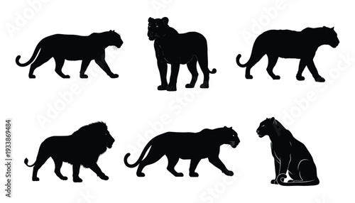 Collection of lion and lioness silhouettes for wildlife design