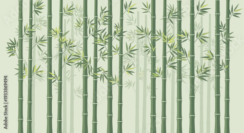 Green Bamboo Forest Background with Soft Shadows