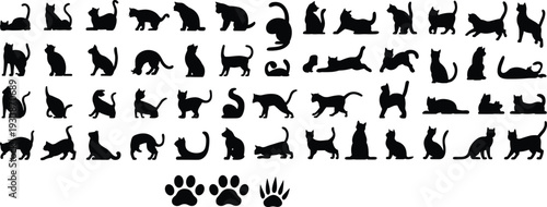 Large collection of black cat silhouettes in various poses sitting jumping playing stretching walking running leaping isolated on white background vector set