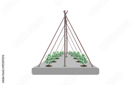 Vector illustration of plant trellis