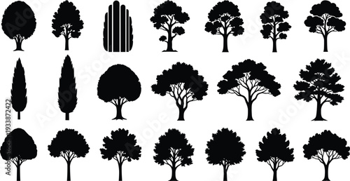 Collection of Black Tree Silhouettes in Various Shapes and Sizes nature plant