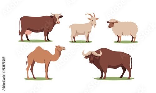 Domestic farm animals vector silhouette illustration set, line art drawing of camel, cow, goat