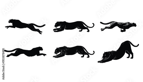 Set of running and stretching female lion silhouettes