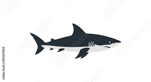 A realistic illustration of a Great White shark swimming, emphasizing its powerful fins and sharp teeth, ideal for educational or marine life content