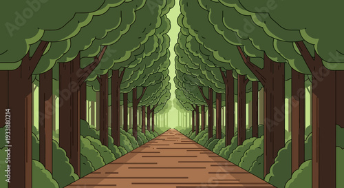 Straight Forest Path Lined with Trees