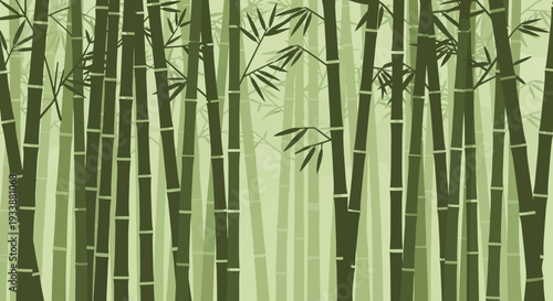 Bamboo Forest Background