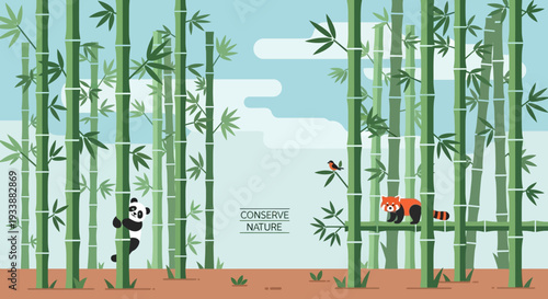 Cute Panda and Red Panda in Bamboo Forest