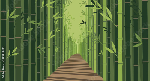 Bamboo Forest Path with Sunlight and Shadows