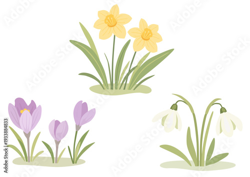 Spring flowers on white background