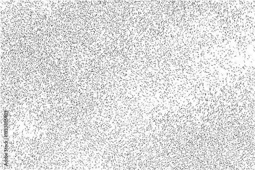Dense abstract black dash texture on white background, chaotic ink stroke pattern, monochrome swirling grain surface, expressive artistic backdrop, detail random marks, modern graphic design element