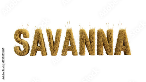 Savanna landscape word with grass texture