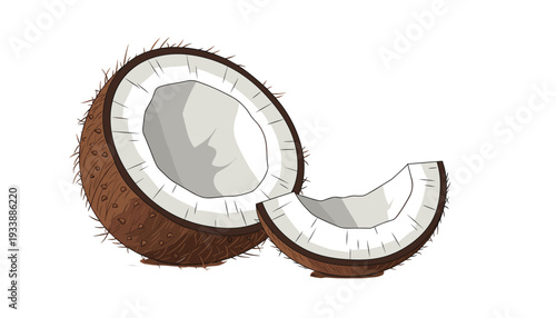 Fresh Coconut Fruit Vector Illustration with Half Shell and Slice for Organic Food Packaging, Tropical Drink Branding, Natural Skincare, and Healthy Ingredient Concepts