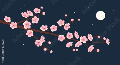 Cherry blossom branch under moonlight, night sky