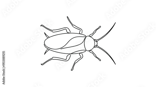 Simple Line Drawing of a Cockroach Insect.