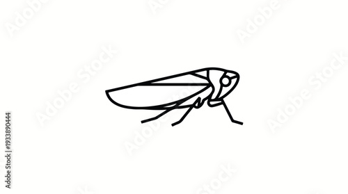Minimalist Line Art Illustration of a Leafhopper Insect.